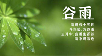 【二十四节气灸】谷雨时节，用艾为您的健康加上一道保险！