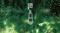 【二十四节气灸】芒种节气，培土补脾、养阴生津！艾灸这些穴位事半功倍！
