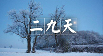 【三九养生】冬二九，扶阳补肾气，让你阳气充足一整年！