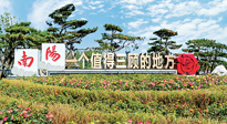 【行业资讯】南阳一个值得三顾的地方！“丹江水”“仙草艾”成为 “南阳礼物”新爆款！