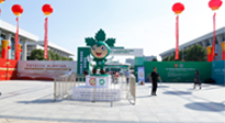 【行业资讯】第六届中国艾产业发展大会5月12日至14日在南阳市举办！
