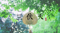 【三伏养生】三伏养生指南！快趁“热”收下吧！