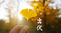 【艾灸三伏天】出伏啦！三防三宜两穴位，防止身体“秋后算账”！