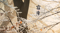 【二十四节气灸】霜降节气：艾灸四穴，护您冬天安然无恙！